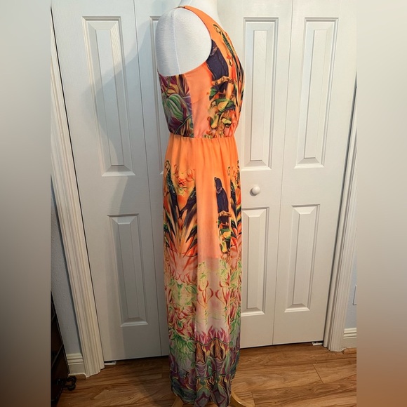 W118 by WALTER BAKER Tropical PARROT JUNGLE Maxi DRESS Size Small NWOT - Picture 4 of 6